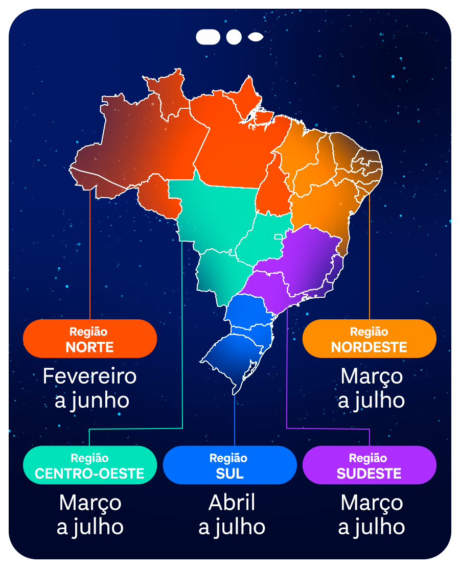Mapa de sazonalidade do Vírus Sincicial Respiratório no Brasil